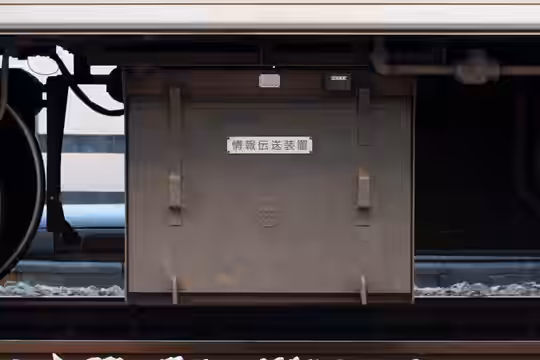 写真拡大