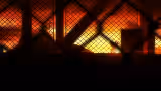 画像拡大