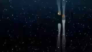 画像拡大