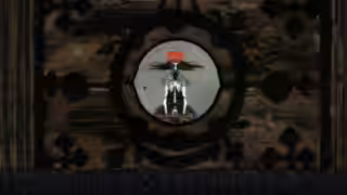 画像拡大