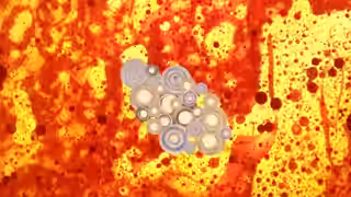 画像拡大