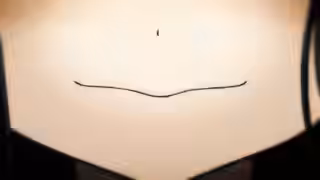 画像拡大
