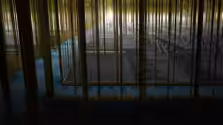 画像拡大